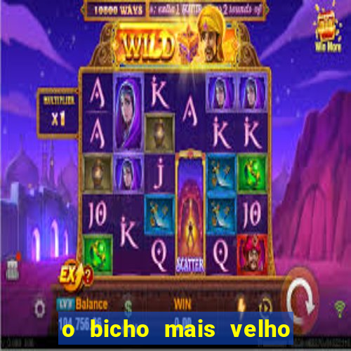 o bicho mais velho da loteria dos sonhos